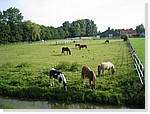 Maya de Hoog 07.jpg
