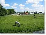 Maya de Hoog 17.jpg