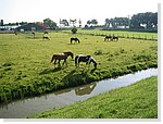 Maya de Hoog 20.jpg